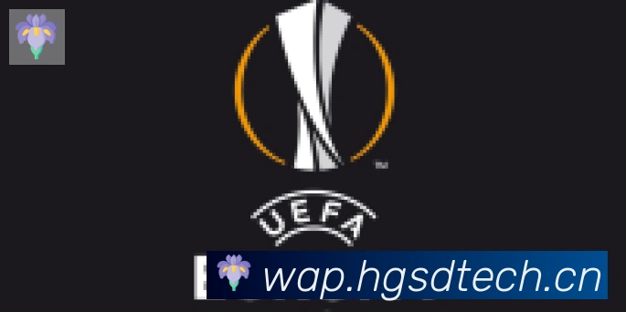 九游官网网页版合作伙伴