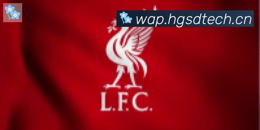 九游官网网页版合作伙伴